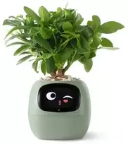 PlantsIO gebenė žalia