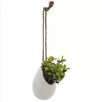 Atmosphera Dirbtinis augalas dekoratyviniame vazone, kabantis ant virveles, 13 cm