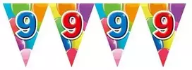 Globos Europe Bv Vimpelų girlianda 9 su balionais