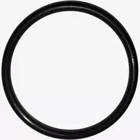 LEIFHEIT Blivgumija O-Ring vakuuma logu tiritajam Nemo