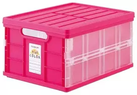Sulankstoma daiktadėžė su dangčiu „Therapy Kids Color” rožinė CFC-TC-501KP