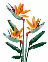 Konstruktorius Sluban gėlė Strelitzia Reginae Aiton, 269 det.
