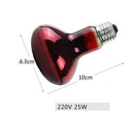 110V/220V Pet Heat Lamp Bulb Reptile Heating Light for Geckos Amphibians Vivarium Terrarium Lighting Heater Source