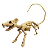 Helovino pelės skeletas ornamentas Baisus realistiškas gyvūno skeletas kaulas vakarėlio festivalio dekoravimui