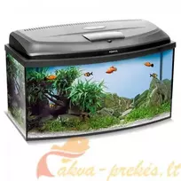 Aquael Classic BOX 80 Panoraminis (102L) Day&Night