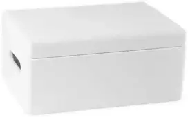 Domoletti Medinė dėžė su dangčiu 315001 30x20x13,5cm b
