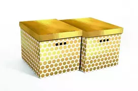 Domoletti FOLDABLE CART BOX2 44X35X32CM GOLD DOTS