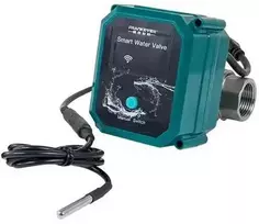 FrankEver išmanusis vandens vožtuvas DN25 powered by Shelly (WiFi, Bluetooth)
