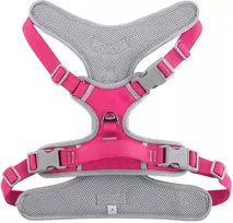 Oem Petnešos šunims OXFORD B dydis S pink pilkas