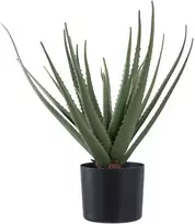 House Nordic Dirbtinis augalas, Aloe Vera, A: 51 cm, Žalias