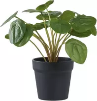 House Nordic Dirbtinis augalas, Pelia, A: 28 cm, Žalias