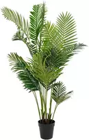 House Nordic Dirbtinis palmės medis, Areka, Aukštis: 175 cm, Žalias