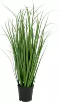 House Nordic Dirbtinis žolės kilimas, Poa, A: 68 cm, Žalia
