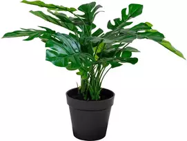 House Nordic Dirbtinis augalas, Monstera, A: 45 cm, Žalias
