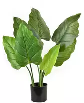 Lumarko Mondex Since 1986R VIRIDIS Dirbtinė alokazijos gėlė H65cm vazonėlyje
