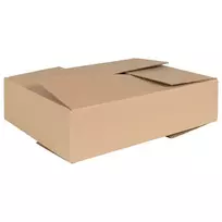 Sulankstoma dėžė 50 pcs Natūrali 40 x 30 x 10 cm Kartonas