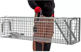 Narvas/gaudyklė spąstai 102x34x34 HARDY