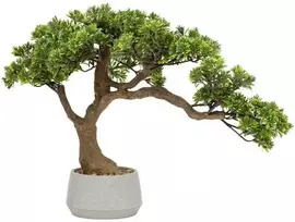 Dirbtinis bonsai medelis POLIN, aukštis 60 cm