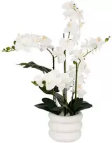 Atmosphera Dirbtinė orchidėja MICK keraminiame vazone, 80 cm