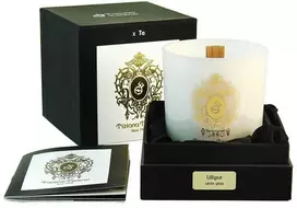 Tiziana Terenzi Lillipur kvapioji žvakė 170 g