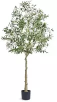 Dirbtinis alyvmedis, 1,8 m