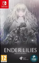 „Clear River Games ENDER LILIES“ – „Quietus of the Knights“ – „Nintendo Switch“
