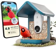 BirdBuddy – išmanusis paukščių tiektuvas 2.0 Mėlyna su saulės kolektorius