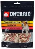Ontario užkandžiai su vištienos ir džiovintos mėsos sumuštiniu, 70 g