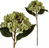 Mondex Since 1986 VIRIDIS dirbtinė gėlė hortenzija 47 cm AW25
