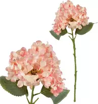 Mondex Since 1986 VIRIDIS dirbtinė gėlė hortenzija 52 cm AW25