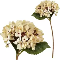 Mondex Since 1986 VIRIDIS dirbtinė gėlė hortenzija 47 cm AW25