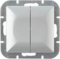Łącznik Sidabrinis dvigubas jungiklis Pearl, 10A, 250V, WP-2P