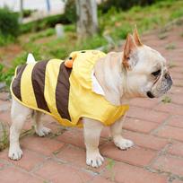 Wholesale Pet Raincoat Corgi French Doo Shiba Inu Teddy Edge Shepherd Golden Retriever Big Dog Waterproof Clothes Waterproof Design S
