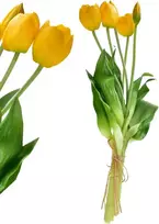 Przydasie Mondex Since 1986R VIRIDIS Dirbtinė gėlė 5 geltonų tulpių puokštė 40cm
