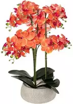 Atmosphera Dirbtinė gėlė vazone, orchidėja SANAE, 65 cm