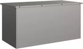 Lauko saugojimo dėžė Rūdijanti 100 x 50,5 x 50 cm Plienas