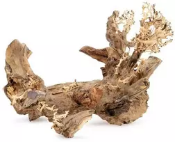 Norimpex Piešimo trafaretas medis Bonsai nr 50 45x30