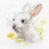 Alisa Beldizart Balta zuikis S0-226