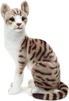 Tiger Tale Toys Cat Plush Pet Girl or Boy Toy, Realistic, 35cm, Cat, Cute, (American Shorthair)