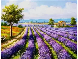 Tapyba pagal skaičius, 50x40cm