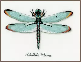 Vervaco Verachtert Nv Kryželiu siuvinėjimo rinkinys LMV Dragonfly 27x19 cm PN/0165453