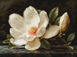 luca S Kryželiu siuvinėjimo rinkinys "The Magnolia Dew" 38x28cm SB713