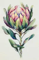 Panna Klart PANNA „Protea“ kryželių siuvinėjimo rinkinys 24,5×38 cm – puiki dovana