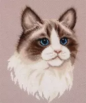 Panna Klart Žavingas kryželiu siuvinėjimo rinkinys „Ragdoll“ katė, 19.5×24.5 cm