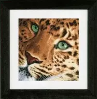 Lanarte Verachtert Nv Siuvinėjimo kryželiu rinkinys Leopard Aida PN/0155213