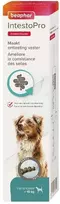 Vitaminizuota pasta - Beaphar INTESTOPRO PAST L ŠUNIMS 2X20ml