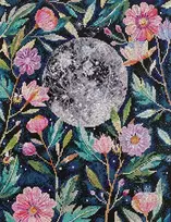 Abris Art Siuvinėjimo kryželiu rinkinys Mėnulio paslaptys, juodas 14 ct, 27x34 cm