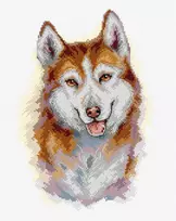 Crafting Spark Husky siuvinėjimo kryželiu rinkinys, Aida 16 ct, DMC siūlai, 17x25 cm