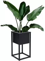 Palėpės stiliaus augalų stovas CONCOVE 40 cm, juodo metalo gėlių stovas, kambarinis vazonų laikiklis, gėlių lentyna, metalinis stovas augalams