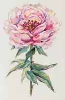 Panna Klart Kryželių siuvinėjimo rinkinys „Bijūnas“ 25,5×38,5 cm – elegancija namams